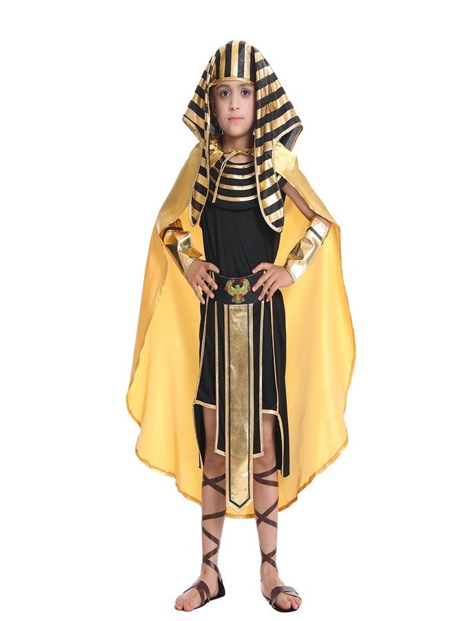 DSplay Boys Egyptian Pharaoh Costume Cosplay Kids Halloween (7-9 years) - Image 1